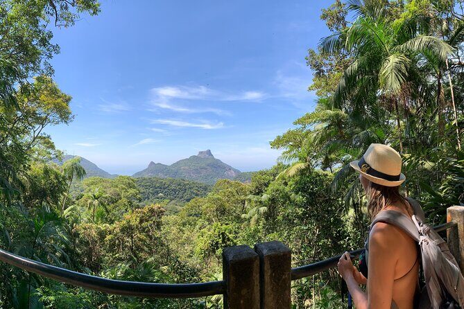 Tijuca Forest Hike - Waterfalls & Caves, Nature & Wild Life! - Tijuca National Park: a quick escape from the city feel