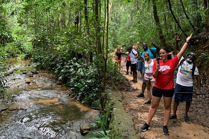 Tijuca Forest Hike - Waterfalls & Caves, Nature & Wild Life! - Taunay Waterfall and the first forest moments at Cascatinha Taunay