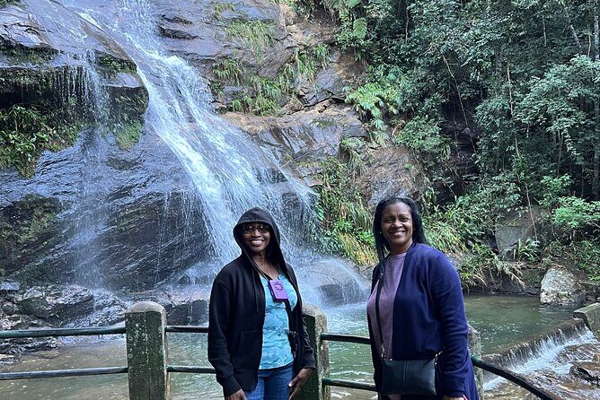 Tijuca Forest w/ Chinese View,cascatinha Taunay,horto waterfall and parque laje - Wildlife and plants: what you can realistically expect