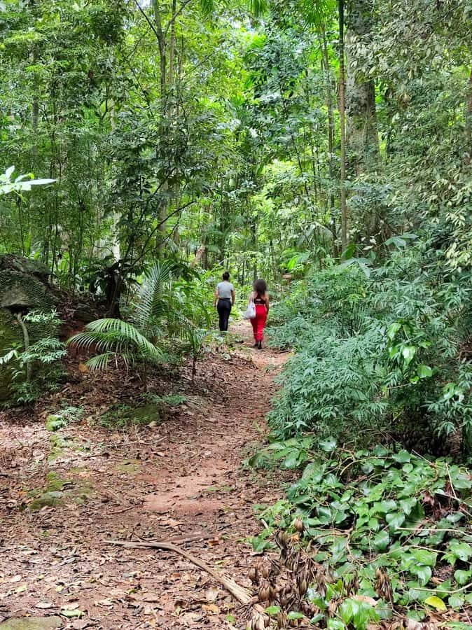 Tijuca Forest´s hike: caves, waterfalls and great views - Key Things You’ll Notice Right Away