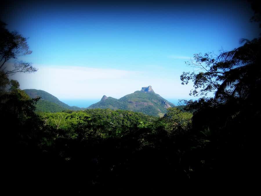 Tijuca Forest´s hike: caves, waterfalls and great views - Waterfall Bath Breaks and View Moments