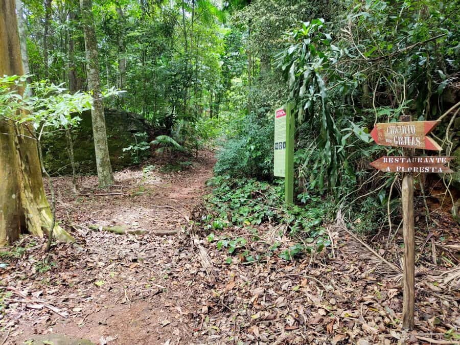 Tijuca Forest´s hike: caves, waterfalls and great views - Guide Power: Lucas, Mirna, and the Benefit of Hike-At-Your-Pace Leadership