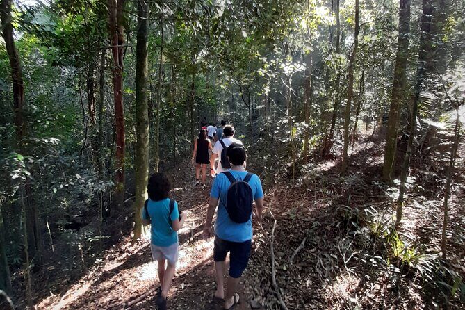 Tijuca National Park and all its wonders! - Waterfall Moments: Taunay and Cascata da Baronesa