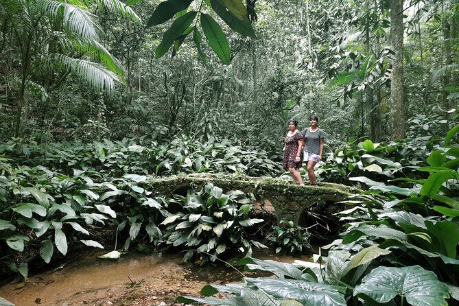 Tijuca National Park and all its wonders! - How Far You’ll Hike (6 to 12 km) and How to Prepare