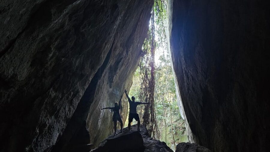 Tijuca National Park and all its wonders! - Value Check: Is $51 Per Person Worth It?