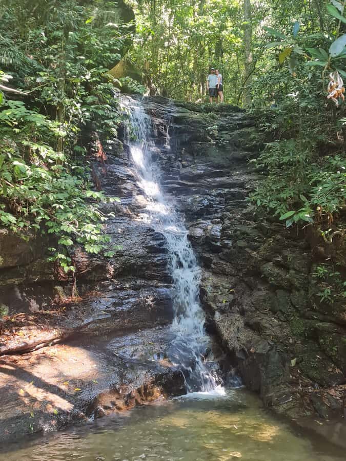 Tijuca Rain Forest - Adventure through Waterfalls & Caves - Price and what you actually get for $60