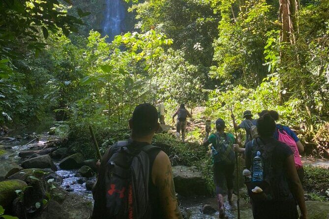 Tour Shaman medicinal plants and waterfalls - A 4-hour Bribri day with real culture, not just photos