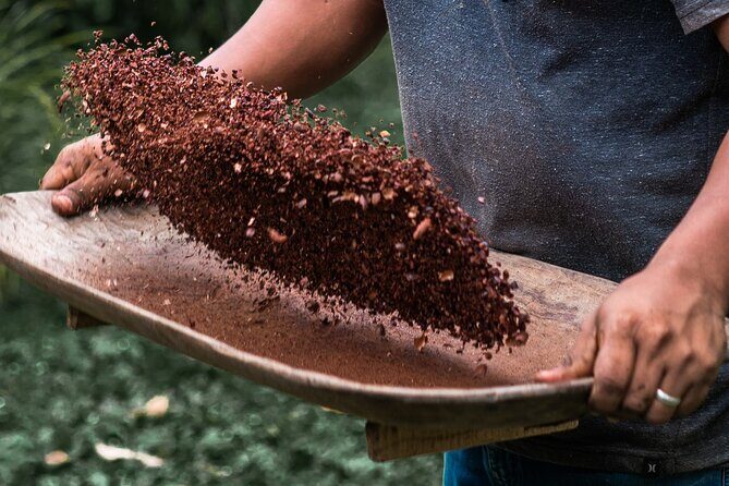 Tour Shaman medicinal plants and waterfalls - Who should book this tour (and who might skip it)