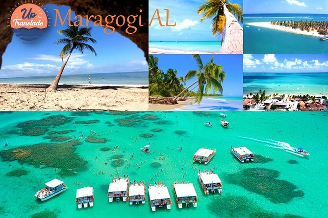 Tour To Maragogi AL - Key highlights to know before you go
