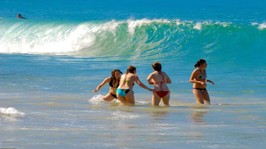Trindade Day Trip: Nature and Sea Adventure from Paraty - Trindade pirate history, before you even hit the water