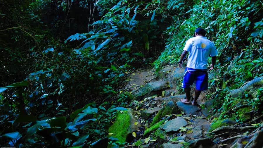 Trindade Day Trip: Nature and Sea Adventure from Paraty - Meeting at Av. Roberto Silveira and how the day flows