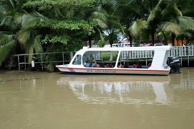 Tropical Escape: Cahuita, Tortuguero Canals & Dream Beach Relax - Banana and chocolate plantations: how farming becomes export