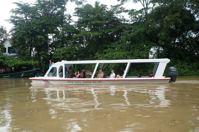 Tropical Escape: Cahuita, Tortuguero Canals & Dream Beach Relax - The fruit stand stop: fast plant education you can taste
