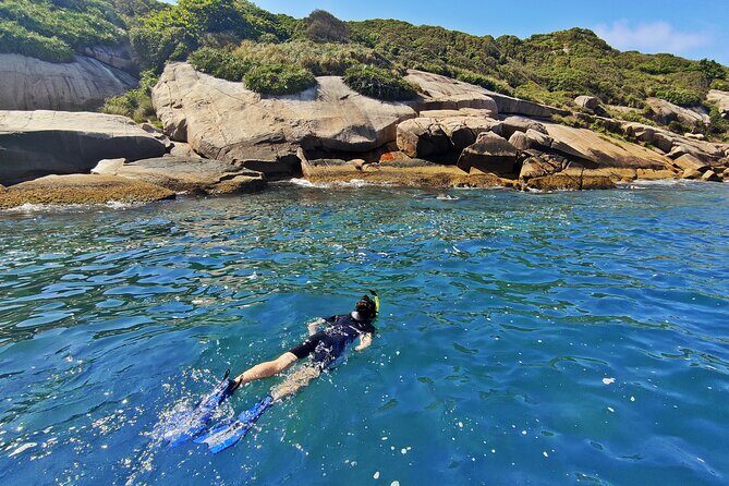 Turtle Snorkeling by Adrenailha - Xavier Island’s Rocky Reef: What You’ll Actually See