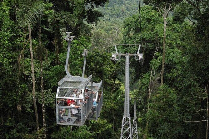 Veragua Rainforest and Tortuguero Canals Shore Excursion - Meeting at Puerto Limón: The Start That Sets Your Tone