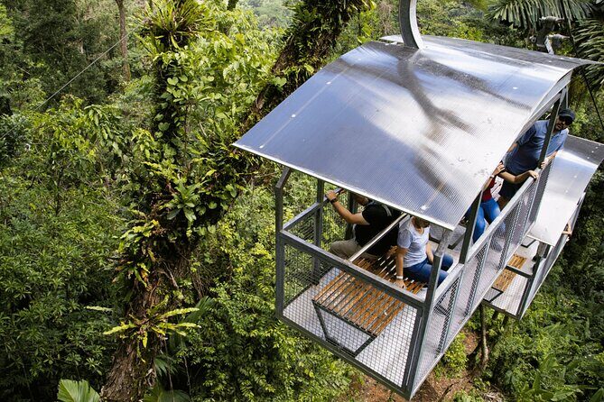 Veragua Rainforest Walk, Tram & Tortuguero Boat Tour. Limon Shore Excursion - Key Highlights Worth Knowing