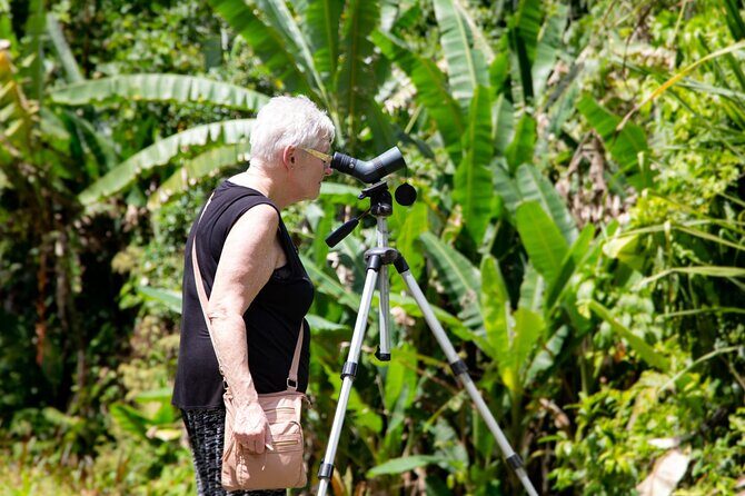 Veragua Rainforest Walk, Tram & Tortuguero Boat Tour. Limon Shore Excursion - Puerto Limón Start: A quick culture stop before the rainforest