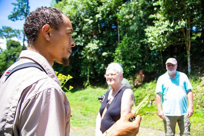 Veragua Rainforest Walk, Tram & Tortuguero Boat Tour. Limon Shore Excursion - Road time, group size, and timing: the hidden factor in a good port day