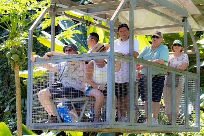 Veragua Rainforest Walk, Tram & Tortuguero Boat Tour. Limon Shore Excursion - Which traveler should book this Limon rainforest walk and canal combo?