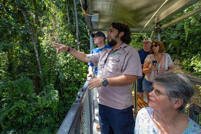Veragua Rainforest Walk, Tram & Tortuguero Boat Tour. Limon Shore Excursion - Should you book this tour?