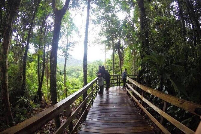 Veragua Rainforest Walk, Tram & Tortuguero Boat Tour. Limon Shore Excursion - Trail of the Giants vs Puma Waterfall: how to match the hike to your day