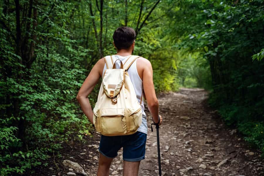 Walk to the Big Rock in Cantareira State Park - Key things to know before you lace up