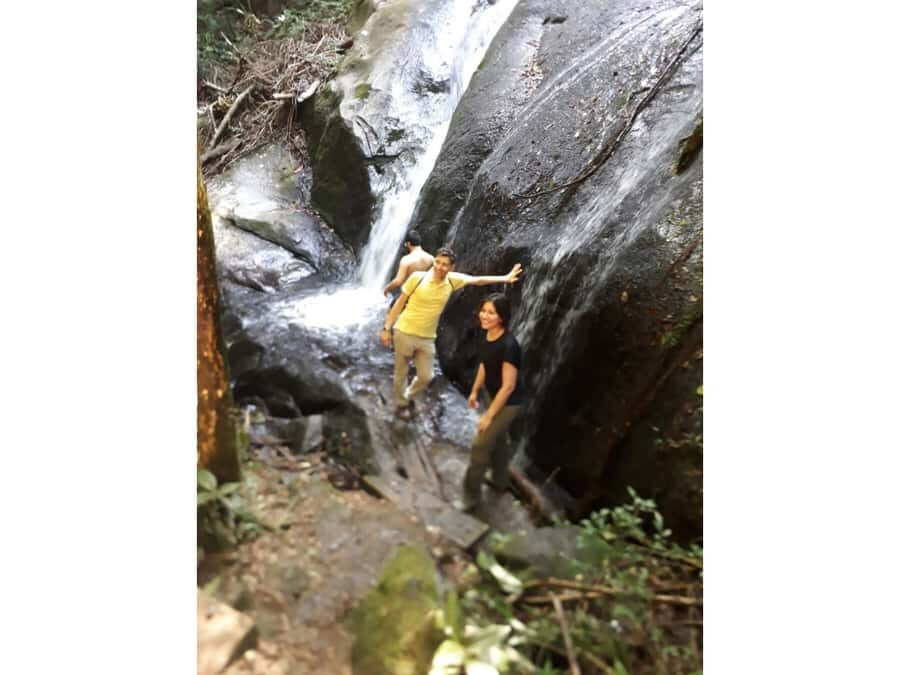 Walk to the Big Rock in Cantareira State Park - Wildlife and nature notes that actually help you look