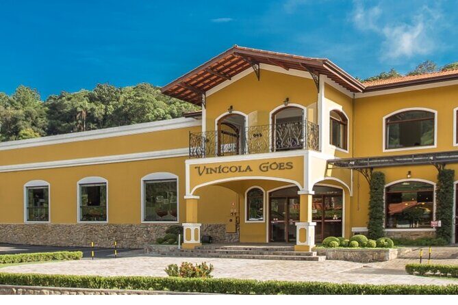 Wine Tour in São Roque by Car, Tour with Local Guides - What You’re Really Buying on This São Roque Wine Tour