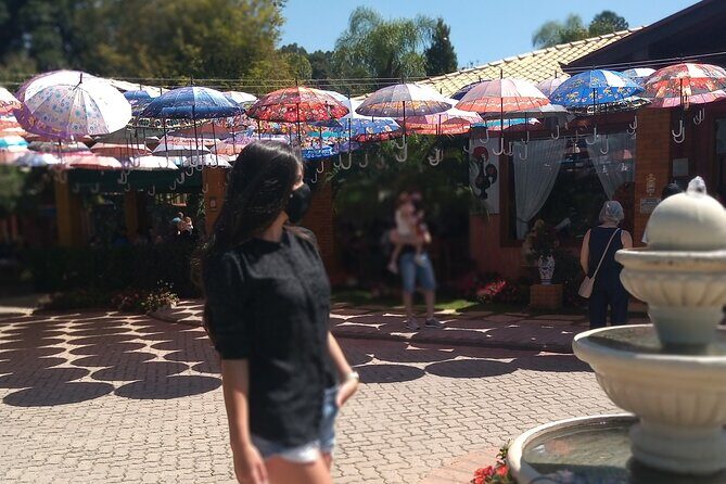 Wine Tour in São Roque by Car, Tour with Local Guides - How the Day Flows (and Why the Order Matters)
