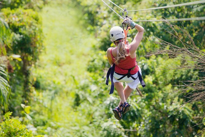 Zipline Canopy Tour & Tortuguero Canal Boat tour. Shore Excursion from Limon - Why This Limón Shore Excursion Works (Boat + Canopy in One Day)